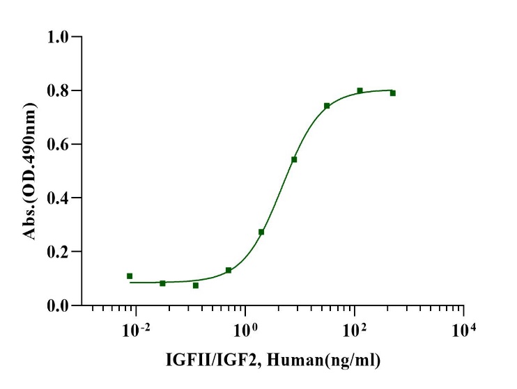 IGF-II Protein, Human