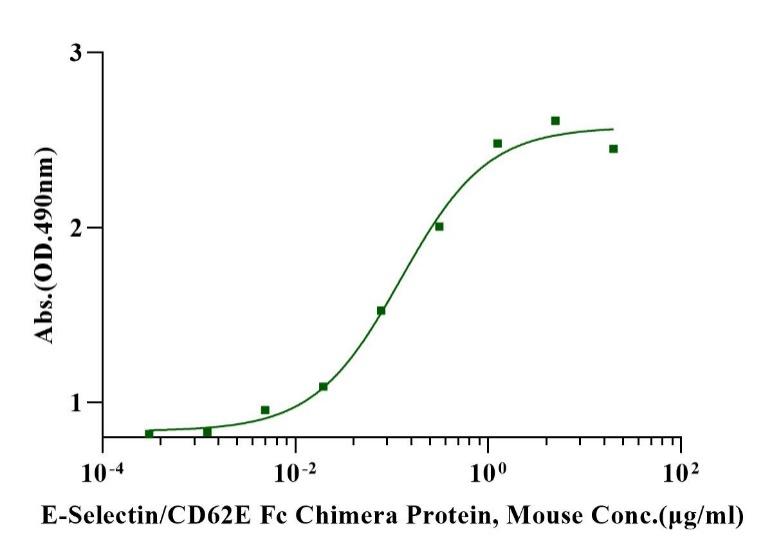 E-Selectin/CD62E Fc Chimera Protein, Mouse