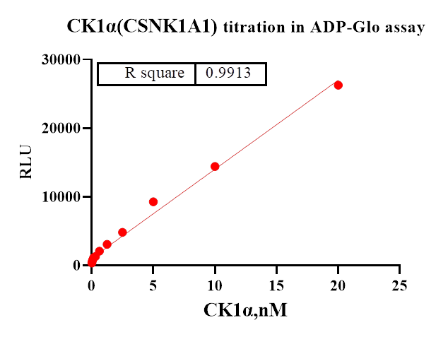 CK1α(CSNK1A1) Protein