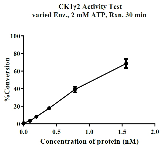 CSNK1G2(CK1γ2) GST Tag Protein, Human