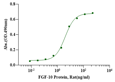 FGF-10 Protein, Rat