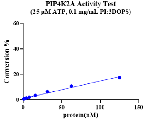 PIP4K2A Protein, Human