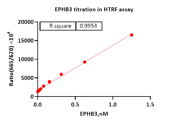 EPHB3 Protein
