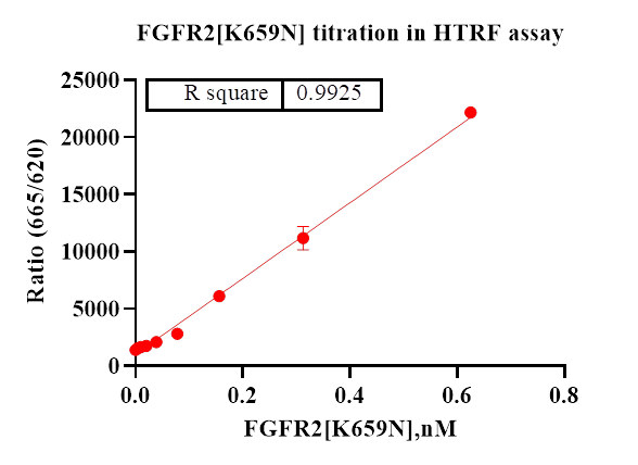 FGFR2[K659N] Protein