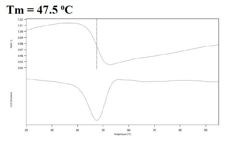 CDK6 Protein