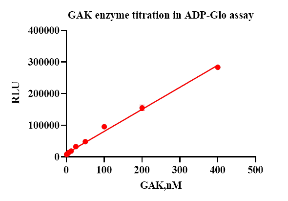 GAK Protein
