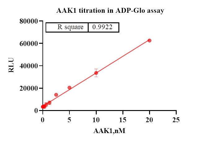 AAK1 Protein