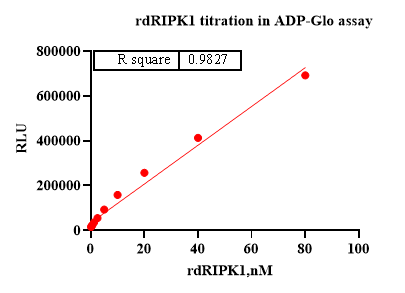 RIPK1 Protein