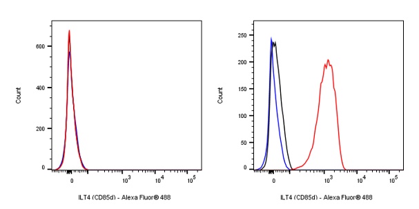 Rabbit Anti-Human ILT4 (CD85d) Antibody (S-281-50)