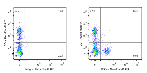 CD8α Rat mAb (S-353-45)
