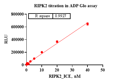 RIPK2 Protein