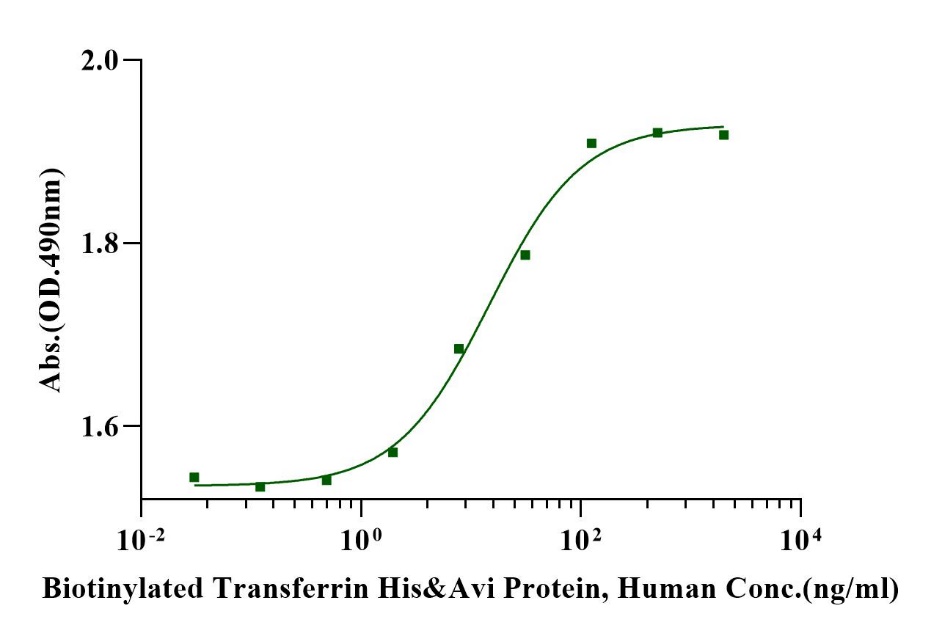 Biotinylated Transferrin His&Avi Tag Protein, Human