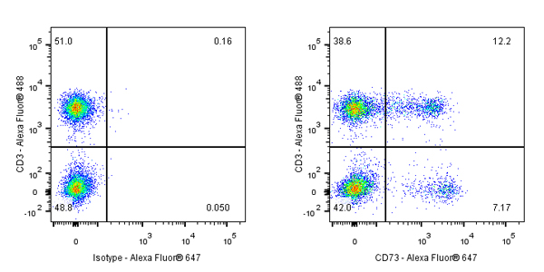 Alexa Fluor® 647 Mouse Anti-Human CD73 Antibody (S-715-115)
