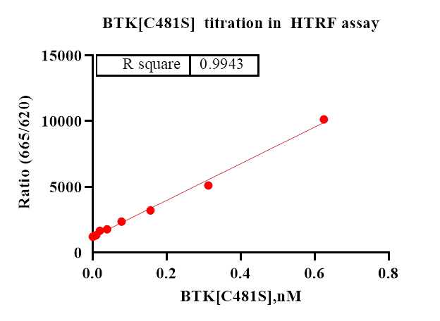 BTK[C481S] Protein