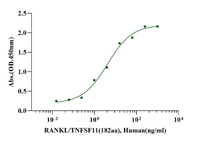 RANK L/TNFSF11(182aa) Protein, Human