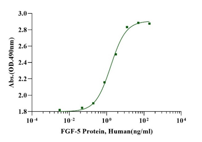 FGF-5 Protein, Human
