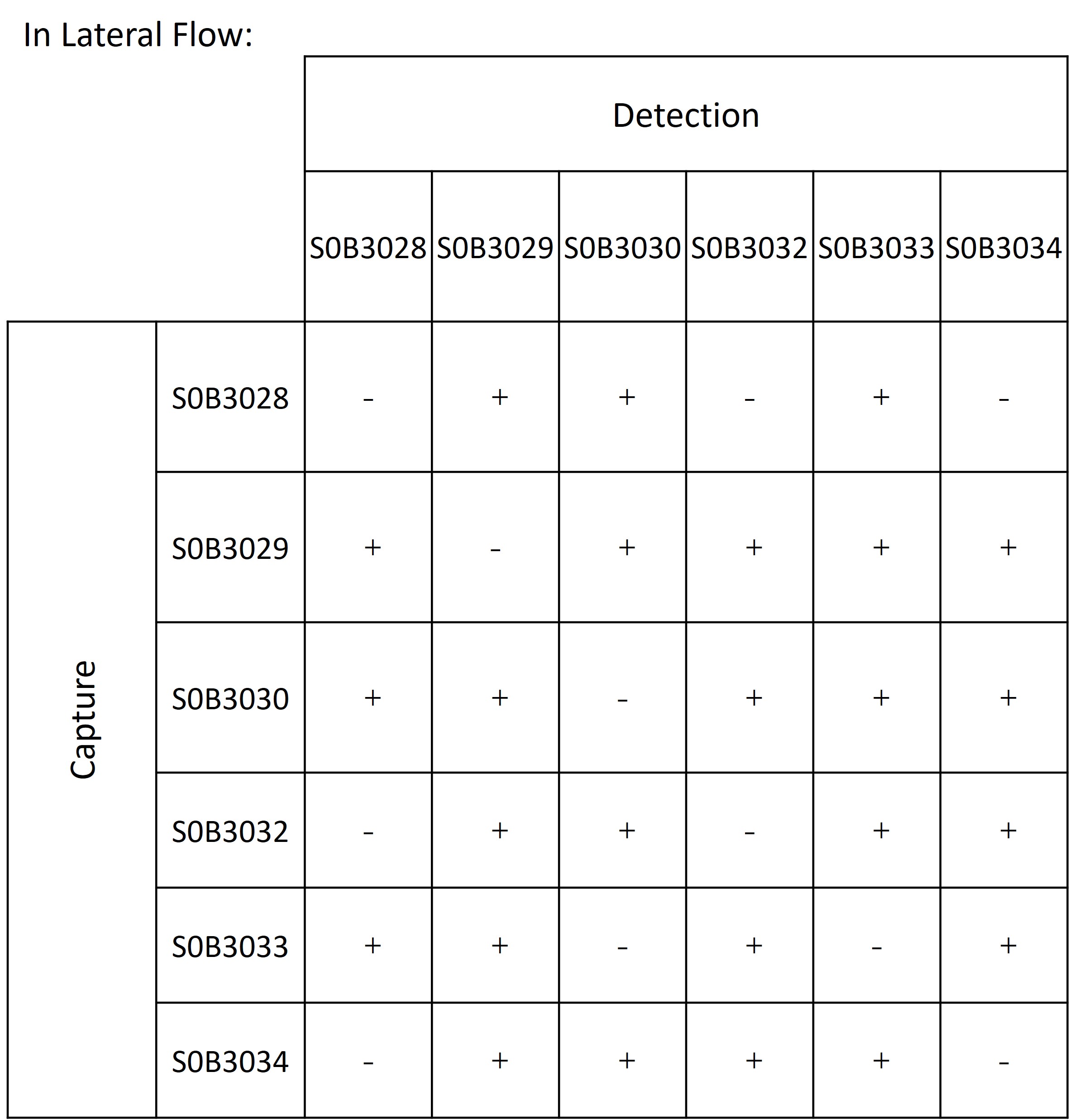 PCT Recombinant Rabbit mAb(SDT-050-47)