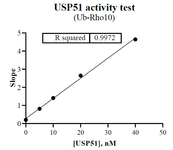 USP51 Protein