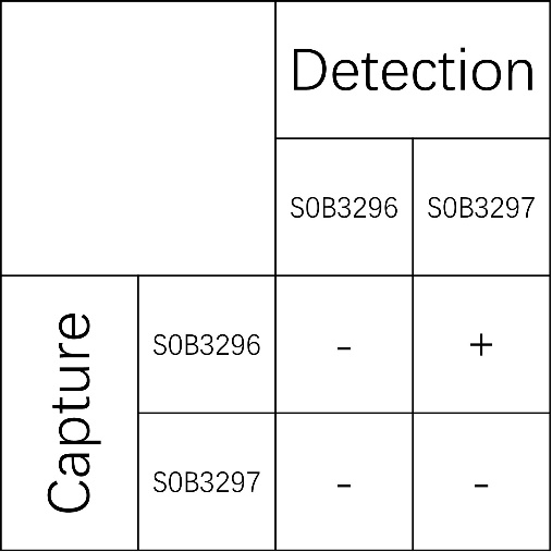 Human IgG Recombinant Rabbit mAb (SDT-318-203)