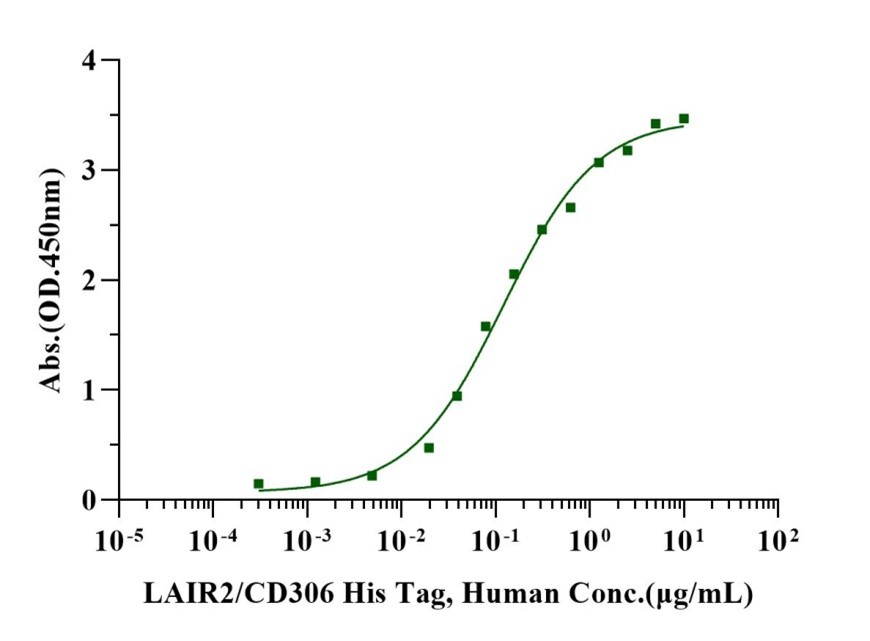 LAIR2/CD306 His Tag Protein, Human