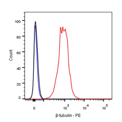 β-tubulin Recombinant Rabbit mAb (PE Conjugate) (S-312-113)