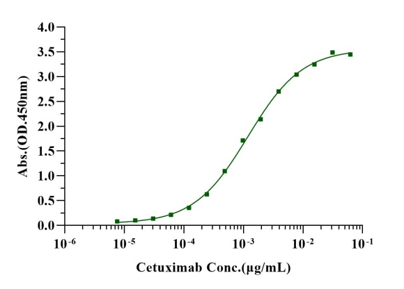 EGFR His Tag Protein, Human