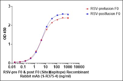 RSV-pre F0 & post F0 (Site Ⅲ epitope) Recombinant Rabbit mAb (S-R375-4)