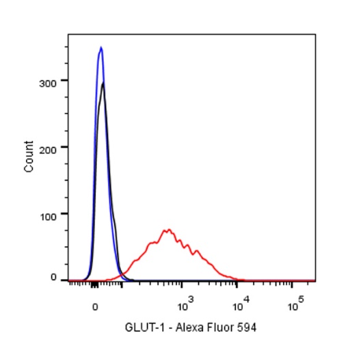 GLUT-1 Recombinant Rabbit mAb (Alexa Fluor® 594 Conjugate) (SDT-047-53)