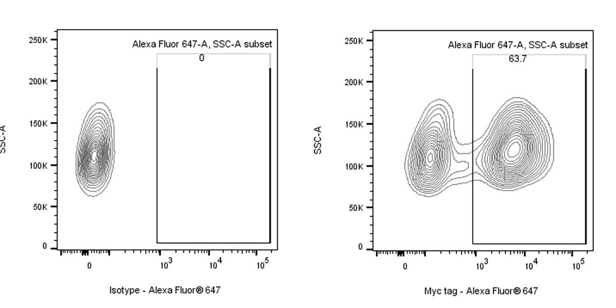 Myc tag Recombinant Rabbit mAb (Alexa Fluor® 647 Conjugate) (S-114-13)