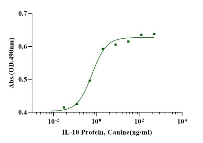 IL-10 Protein, Canine