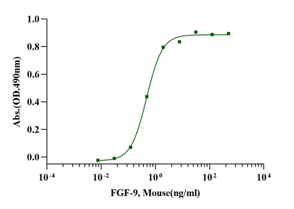 FGF-9 Protein, Mouse