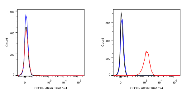 Alexa Fluor® 594 Rabbit Anti-Human CD38 Antibody (S-031-45)