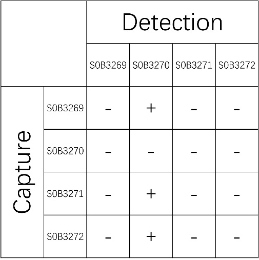 IL-8 Recombinant Rabbit mAb (SDT-162-5-2)