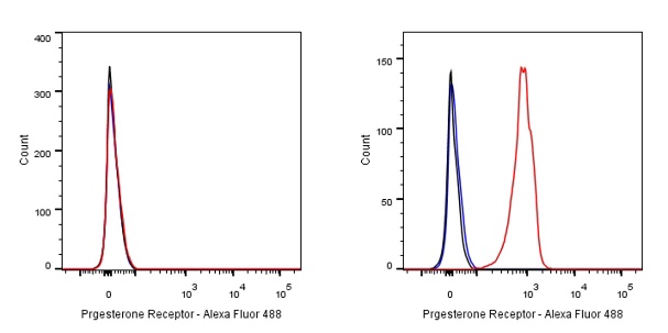 Progesterone Receptor Recombinant Rabbit mAb (Alex Fluor®488 Conjugate) (S-R123)