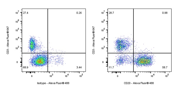 Alexa Fluor® 488 Mouse Anti-Mouse CD20 Antibody (18B12)