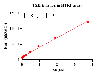 TXK Protein