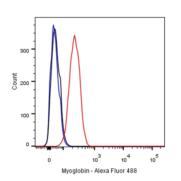 Myoglobin Recombinant Rabbit mAb (SDT-097-10)
