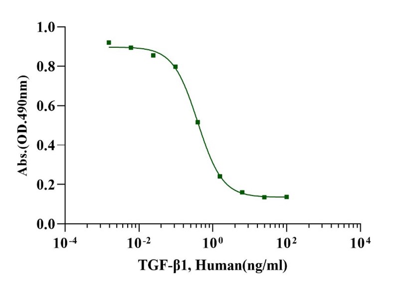 TGF-β1 Protein, Human