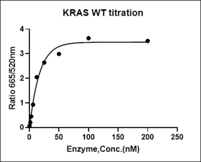 KRAS Avi&His Tag Protein