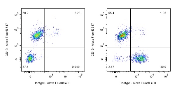Invivo anti-mouse CD3ε Recombinant mAb