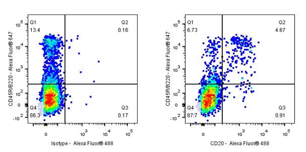 Rat Anti-Mouse CD20 Antibody (S-R497)