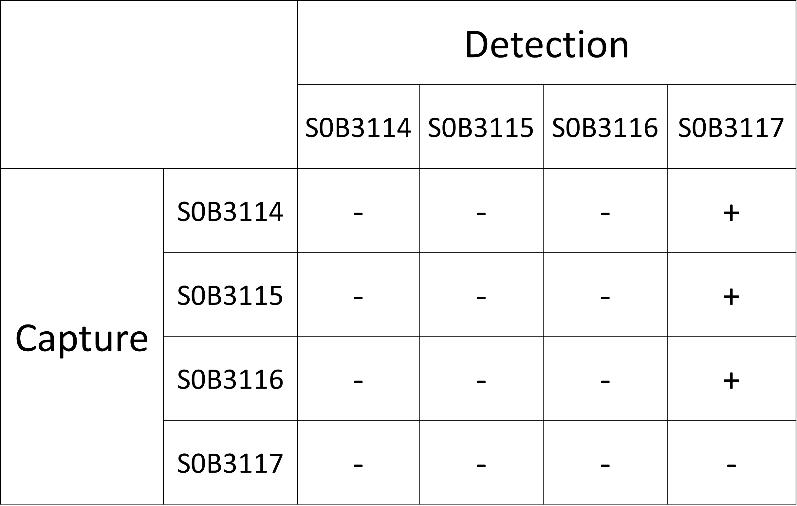 Antithrombin III Recombinant Rabbit mAb (SDT-294-303)