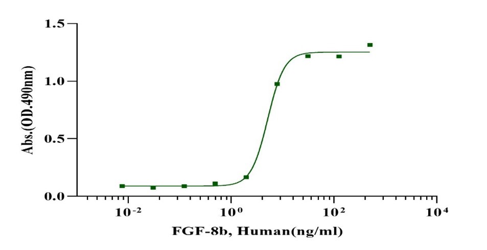 FGF-8b Protein, Human