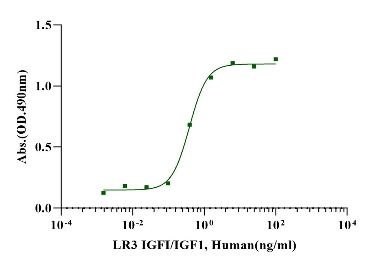 LR3-IGF-I Protein, Human