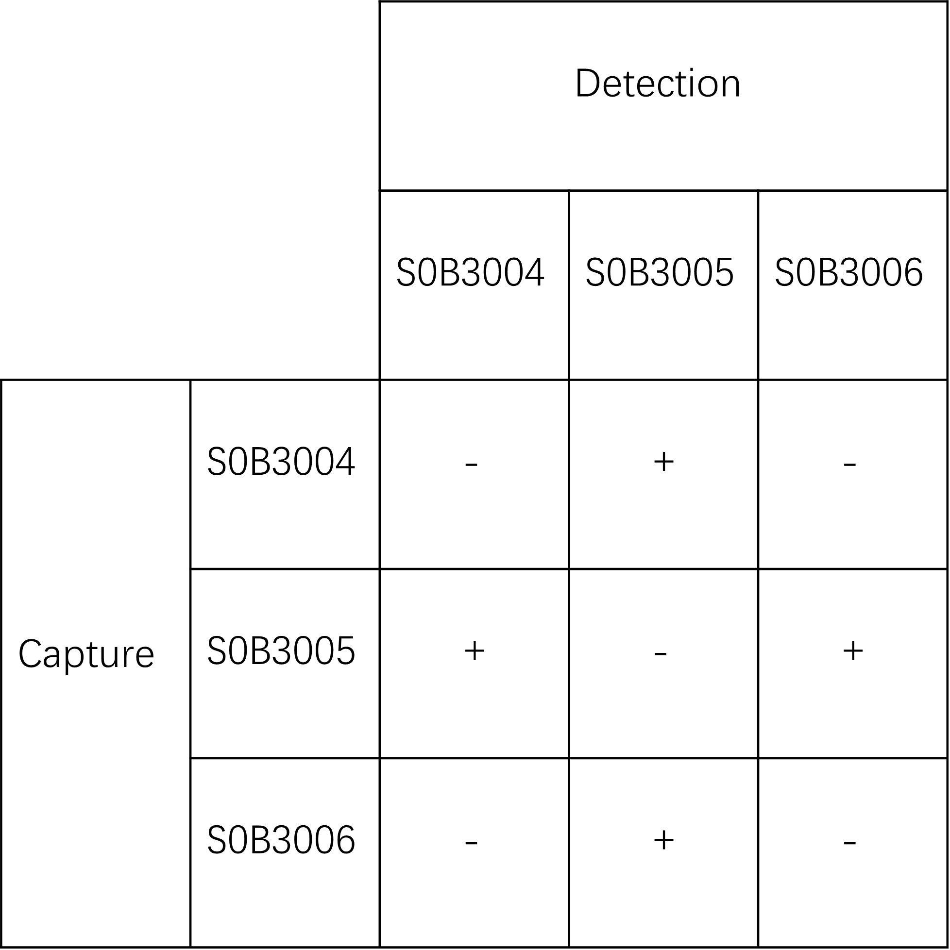 A29L Recombinant Rabbit mAb(SDT-151-86)