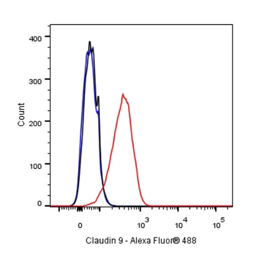 Claudin 3+Claudin 9 Recombinant Rabbit mAb (SDT-1452-80)