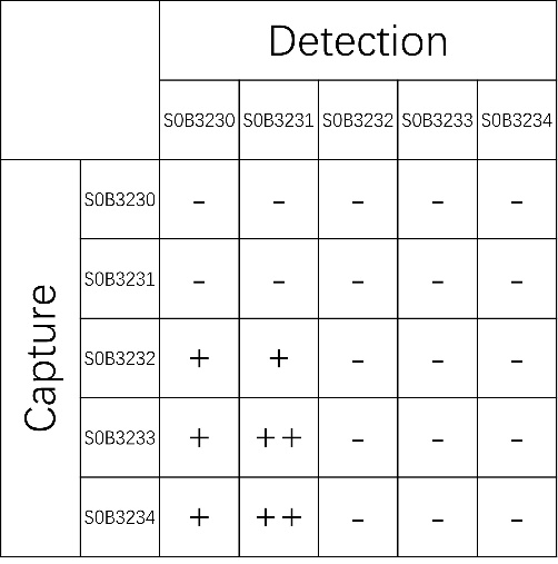 Plasminogen Recombinant Rabbit mAb (SDT-804-69)