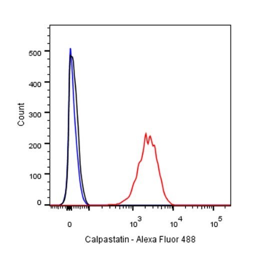 Calpastatin Recombinant Rabbit mAb (S-R184)