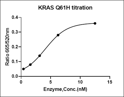 KRAS [Q61H] Avi&His Tag Protein