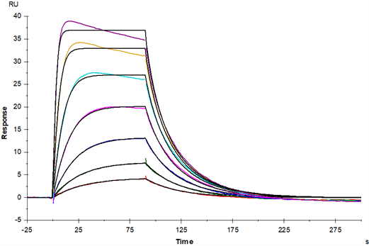 GM-CSFR α His Tag Protein, Mouse